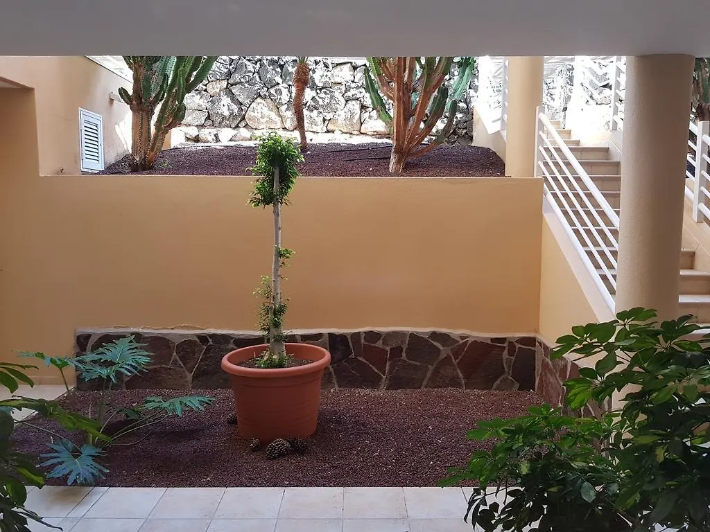Hotel Oasis La Caleta Adeje Apartment